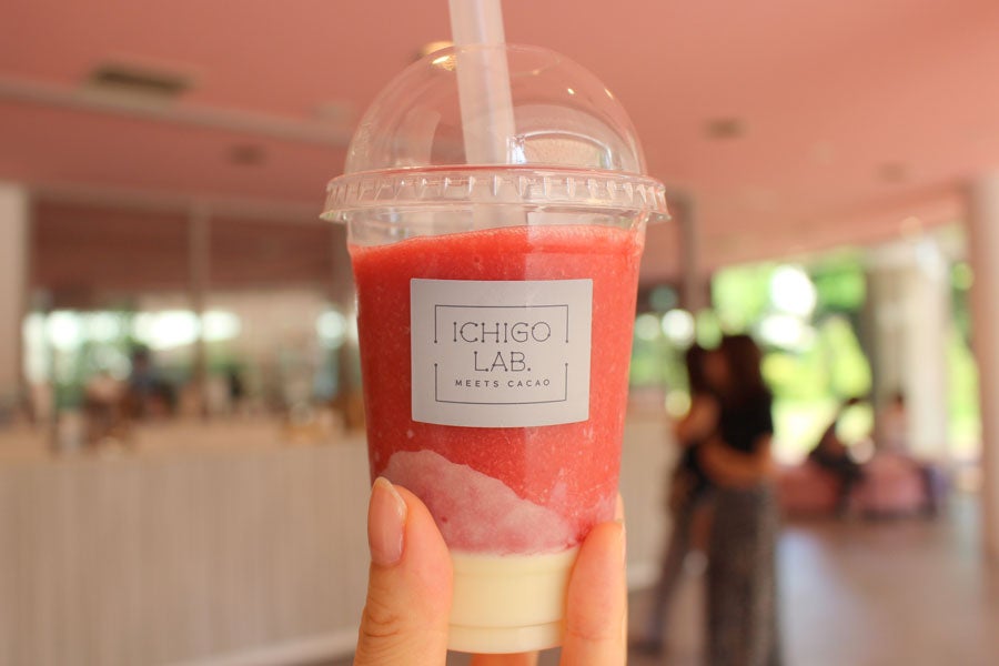 東京ストロベリーパーク ラボ