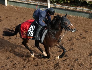 【新馬戦】ペイジャー 福永師ゆかりの血脈、半兄にピクシーナイト「軽い走りでバネを感じる」 藤田晋オーナー所有の良血馬