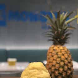 アイスモンスター、ハワイ限定「パイナップルかき氷」パイン果実&パンナコッタのトロピカルな美味しさ