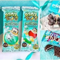 チョコミン党激推し!苦手な人もハマる旨すぎチョコミントアイスBEST3