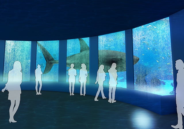 DMMかりゆし水族館／画像提供：DMM.com