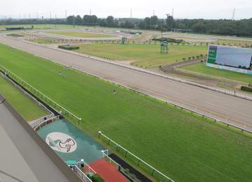 【新潟記念】2番人気ゾロアストロが力強く差し切って重賞V2 2着に3番人気ロデオドライブが続き3歳馬ワンツー