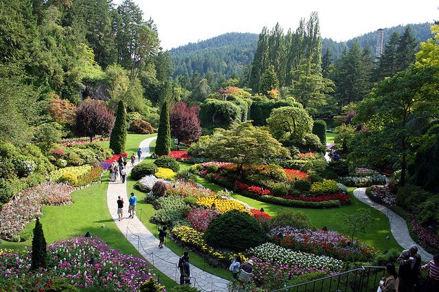 ブッチャート・ガーデン／The Butchart Gardens by Lucian Savluc
