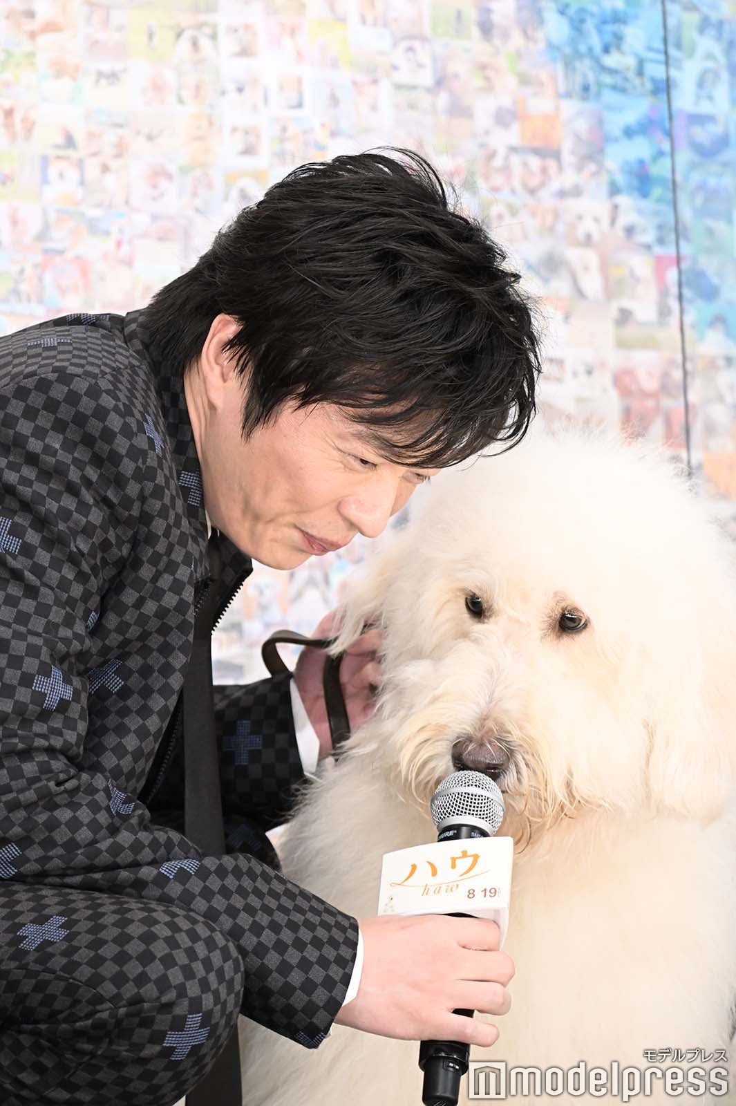 田中圭、ベック （C）モデルプレス