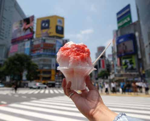 渋谷に夏限定かき氷店「渋谷ハチ氷」、“雪の上のハチ”“宮下公園工事中”等ユニークな名称に注目