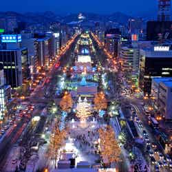 テレビ塔からの景色/画像提供:さっぽろ雪まつり実行委員会