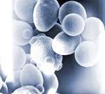 イーストエキス