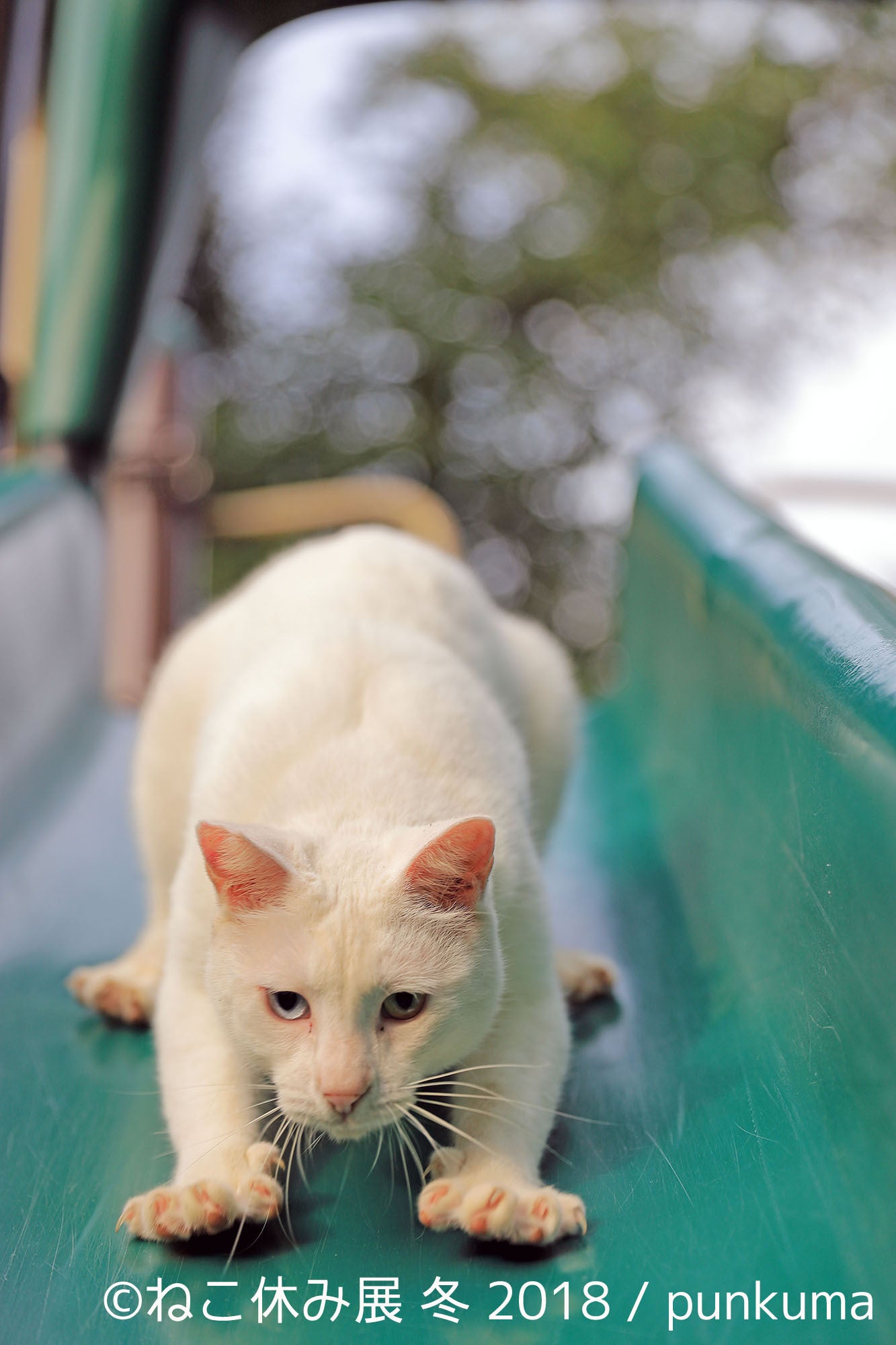 展示作品／画像提供：株式会社BACON