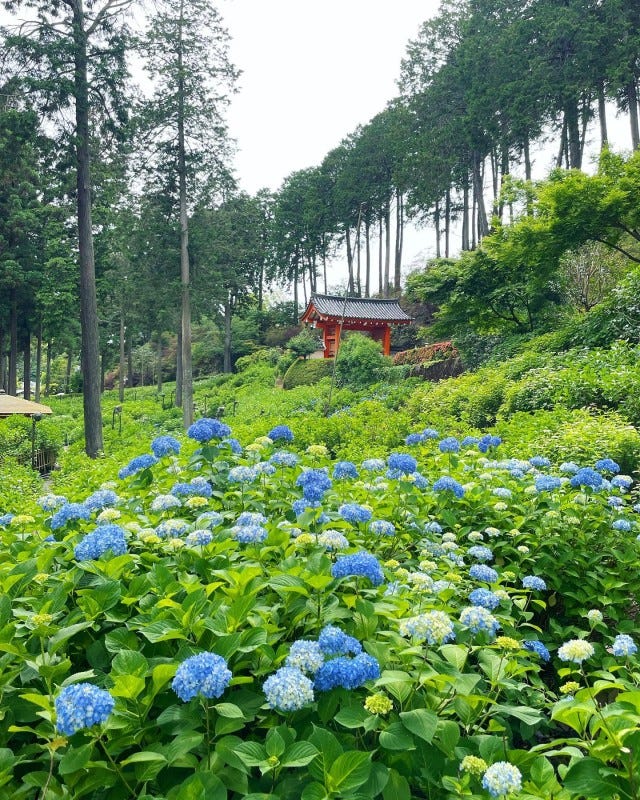 写真を撮る手が止まらない♡