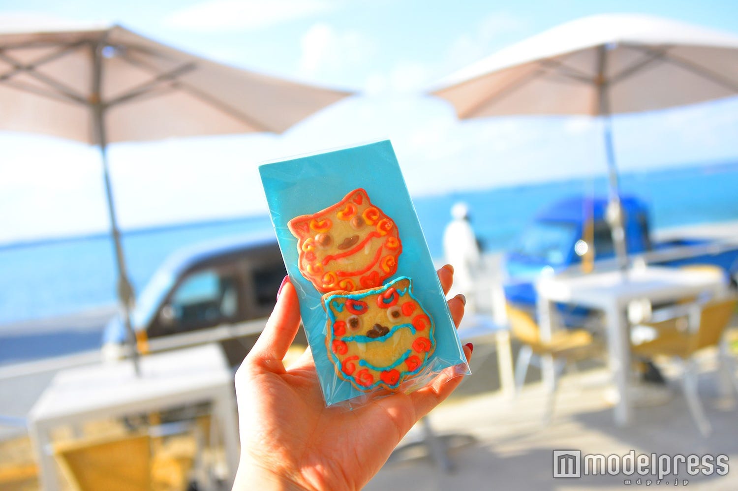 キュートな沖縄土産“シーサークッキー”を発見!瀬長島ウミカジテラスの隠れた逸品
