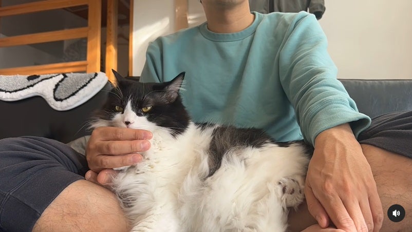 亜生公式Instagramより