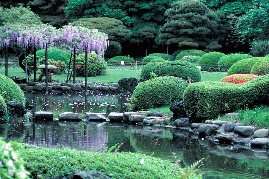 新宿御苑