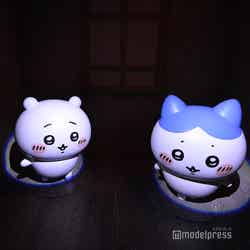 ちいかわパーク(C)モデルプレス