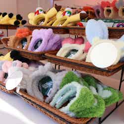 ポケパーク カントー/提供写真