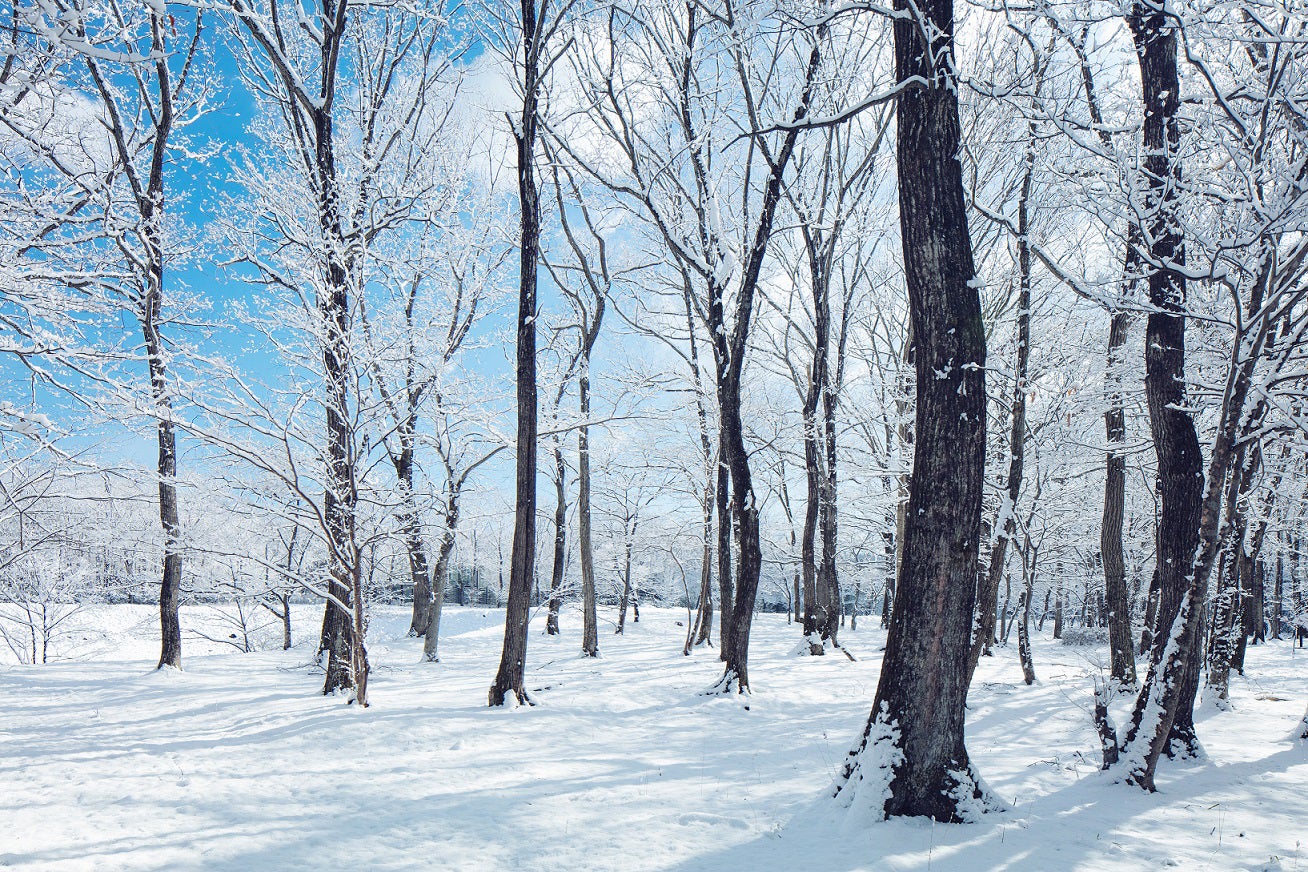 星野リゾート　リゾナーレ那須／画像提供：星野リゾート