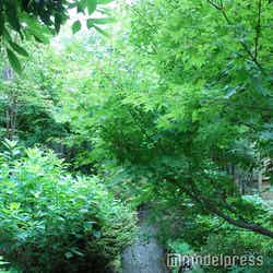 ふふ 熱海(C)モデルプレス