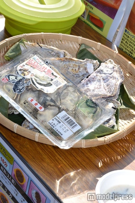 ウギャルブランドの牡蠣