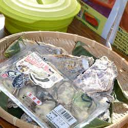 ウギャルブランドの牡蠣