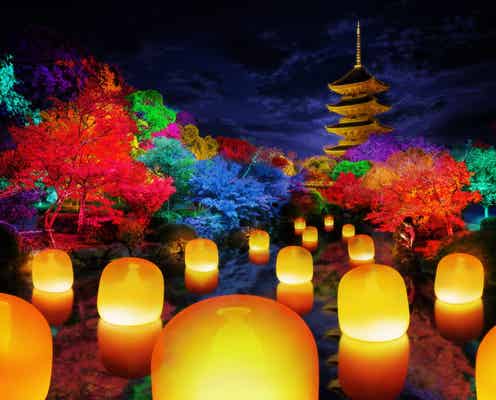 京都「チームラボ 東寺 光の祭 -TOKIOインカラミ」世界遺産が光り輝くアート空間に