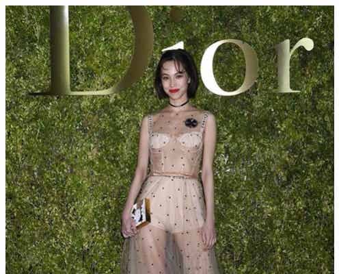 水原希子、ヌーディーなシースルードレスに反響「刺激的」「シンデレラみたい!」