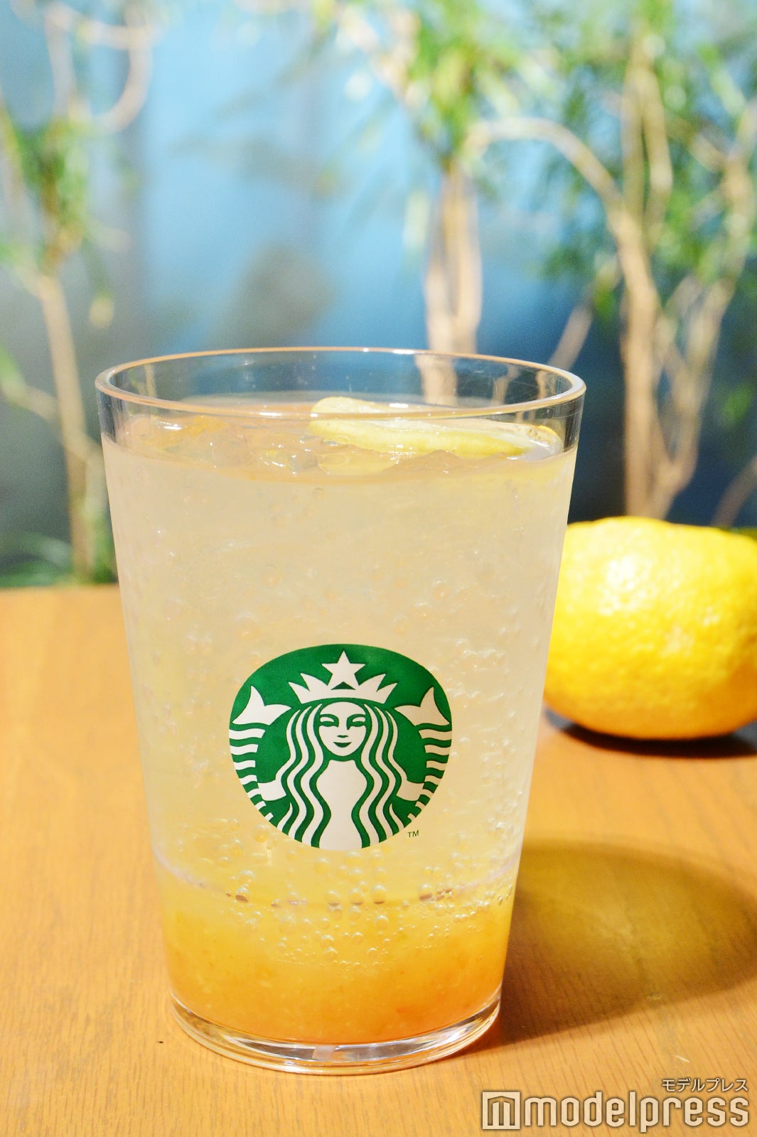 チラックス ソーダ ゆずシトラス（C）モデルプレス