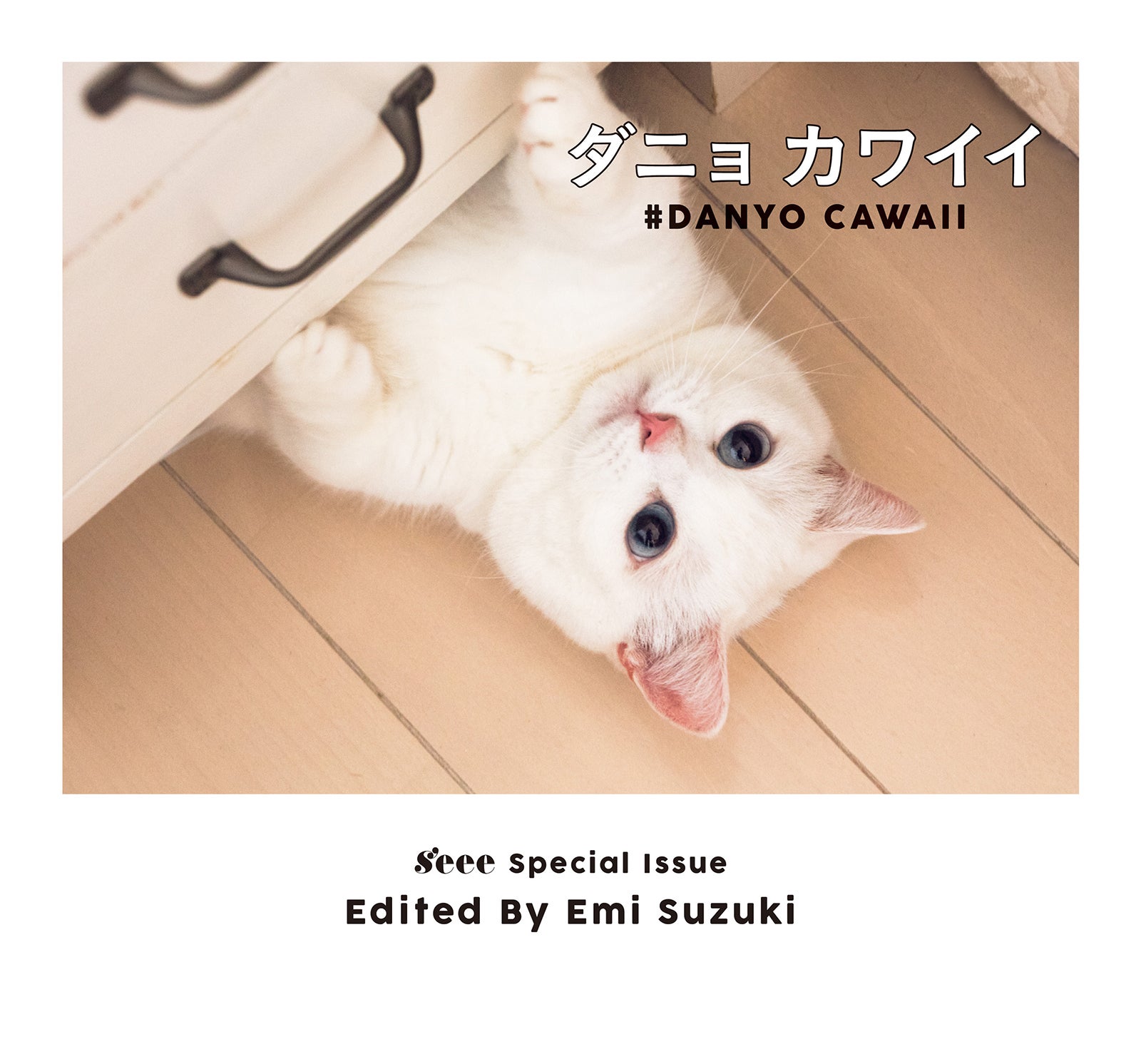 美女とペット 鈴木えみの愛猫 ダニョ の可愛さがとまらない 真っ白ふわふわボディにキュン モデルプレス