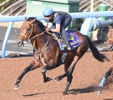 サトノレーヴはルメールとのコンビ再結成でジュライCへ向かう