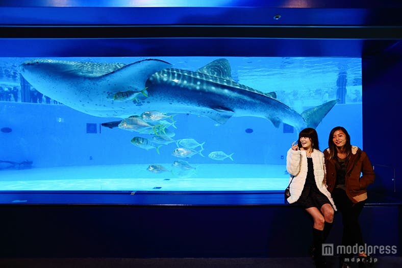 ロマンチックブルーに包まれラブラブ度が加速