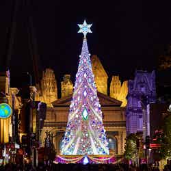 NO LIMIT! パーティ・ツリー/画像提供:ユニバーサル・スタジオ・ジャパン