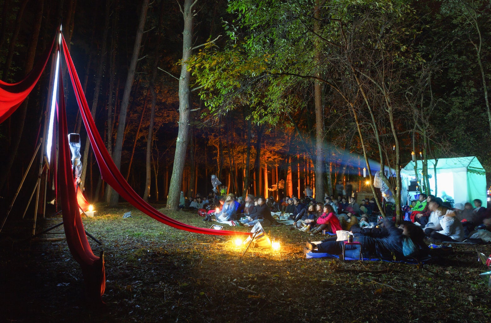 夜空と交差する森の映画祭／画像提供：森の映画祭実行委員会
