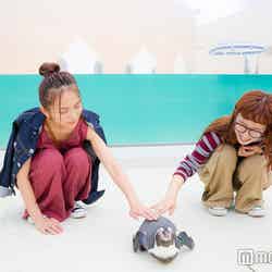 普段なかなか体験できないペンギンタッチ/3歳以上1名様200円
(実施期間:平成28年9月3日~12月11日までの土日祝)