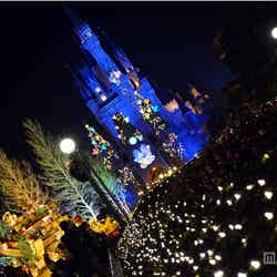 夜のシンデレラ城前は幻想的な雰囲気に包まれる
