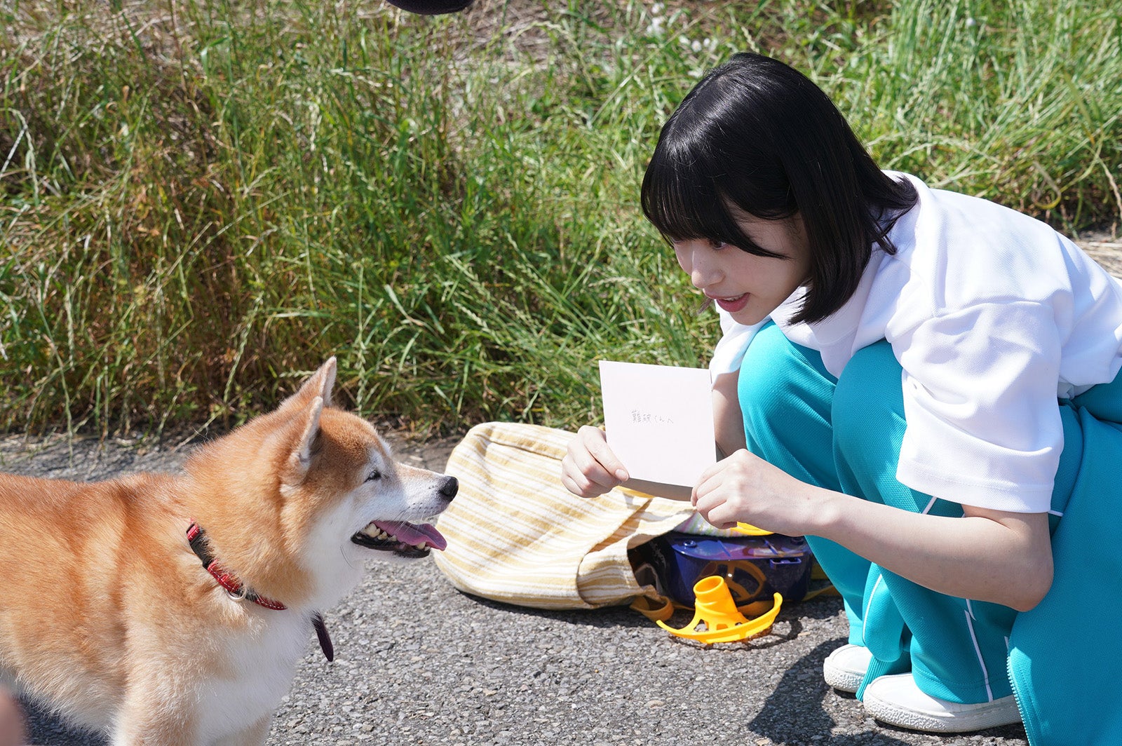 （右）森川葵／「ナンバMG5」特別編より（C）フジテレビ