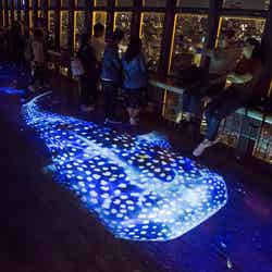 TOKYO TOWER SEA/画像提供:東京タワー