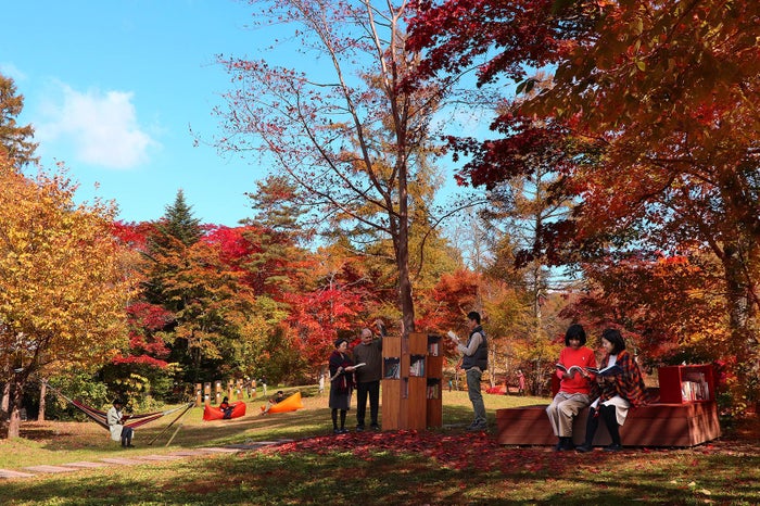 軽井沢星野エリア 紅葉図書館 紅葉 読書の秋 カフェ時間を満喫 女子旅プレス