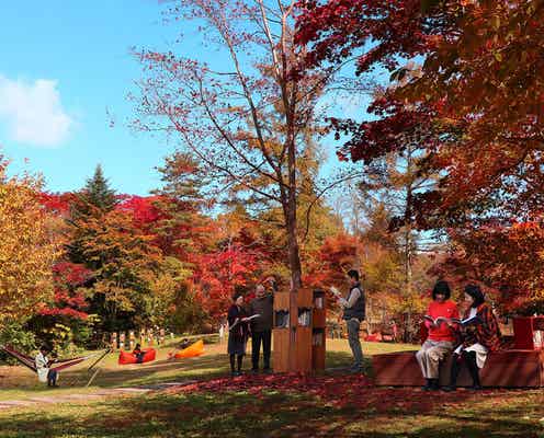 軽井沢星野エリア「紅葉図書館」紅葉×読書の秋×カフェ時間を満喫