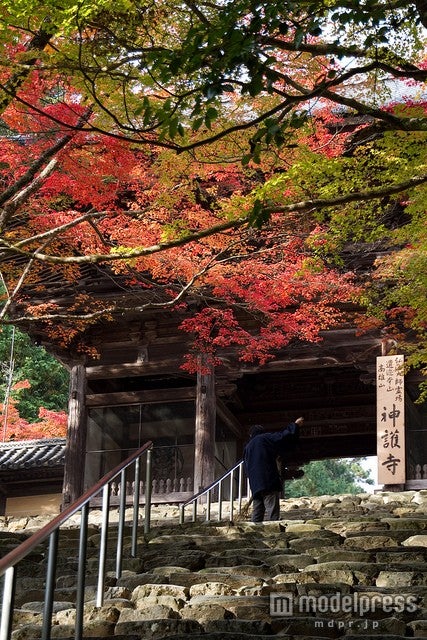 「神護寺」／ photo by ys*【モデルプレス】