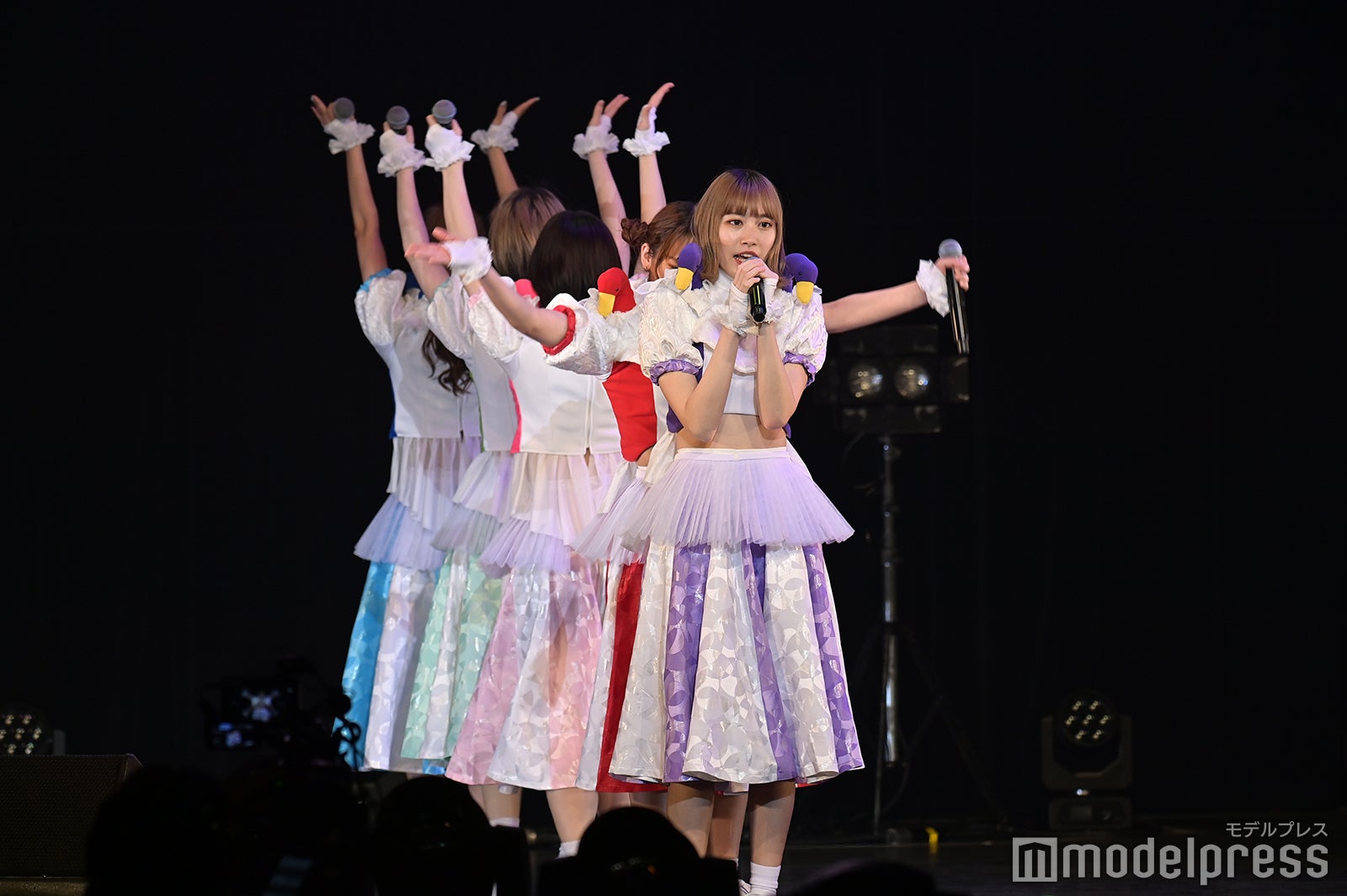 豆柴の大群（C）モデルプレス