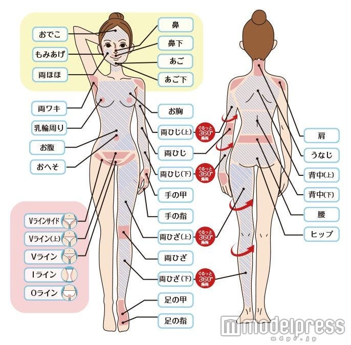 「KIREIMO(キレイモ)」なら全身33箇所の脱毛も可能