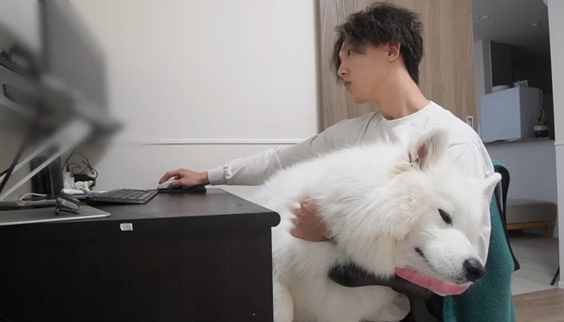 仕事をさせてくれない甘えん坊!大型犬りんたろうはパパが大好き
