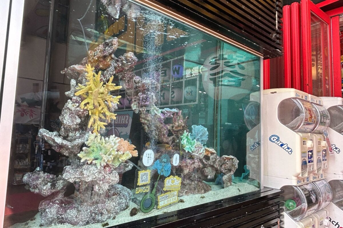 渋谷ドンキの水槽