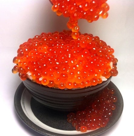 魚介料理のフードフェスに過去最大80店舗が集結！味自慢の漁師飯＆磯料理を堪能