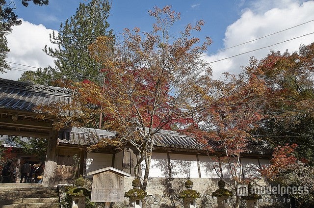 「西明寺」／photo by Kyoto-Picture