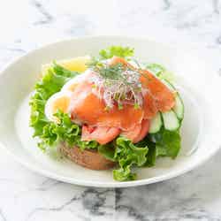 ノルディックサーモンのコールドサンド¥1500(提供写真)