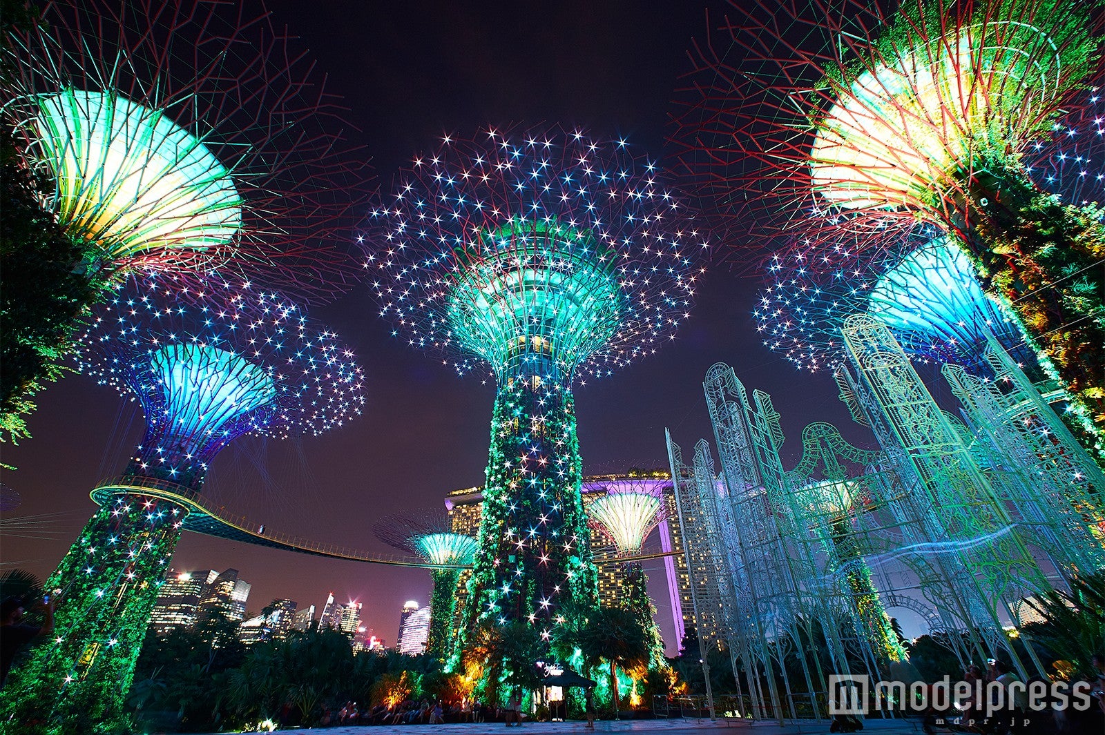 ガーデンズ・バイ・ザ・ベイ（C）モデルプレス