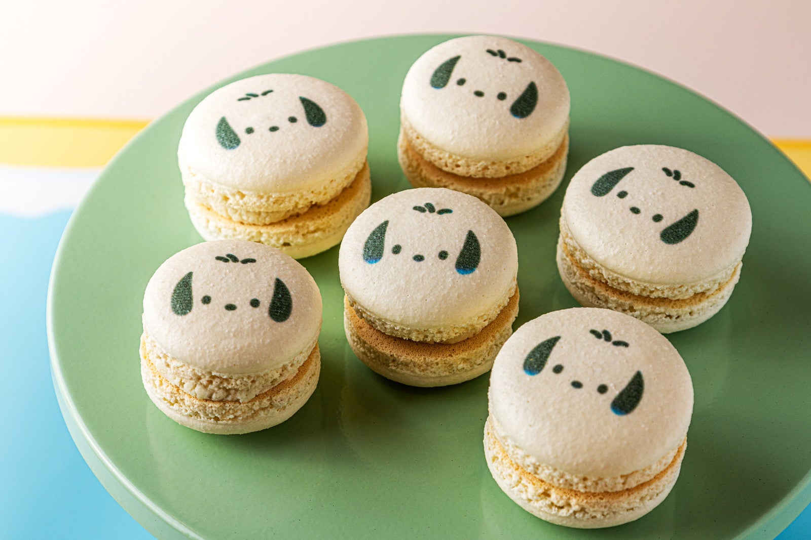 Come travel with us～はぴだんぶいの福岡探検～／提供画像