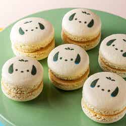 Come travel with us~はぴだんぶいの福岡探検~/提供画像