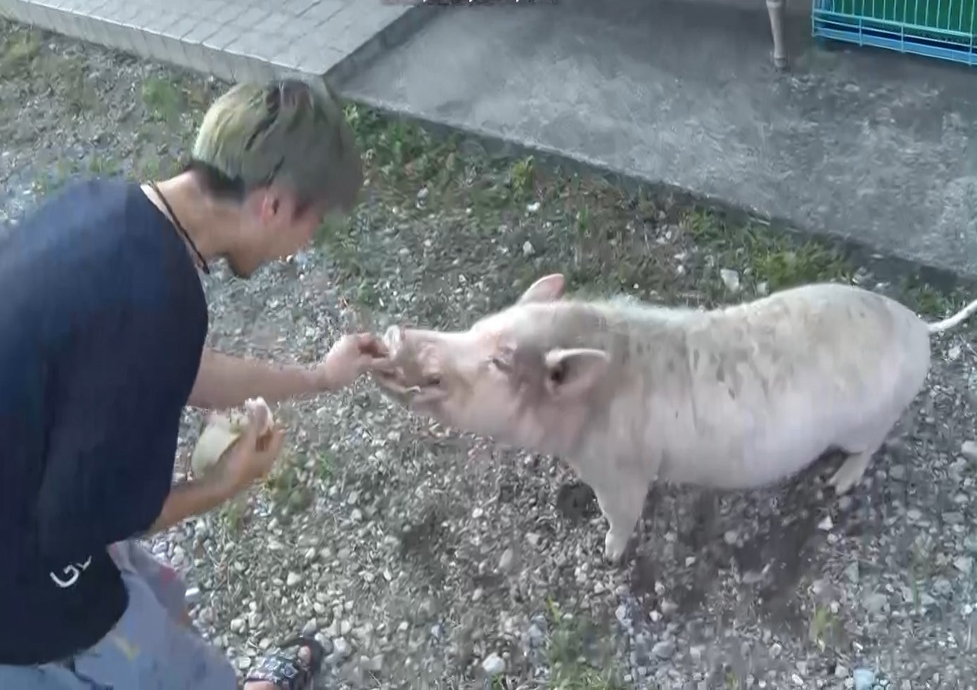 えーし（提供写真）