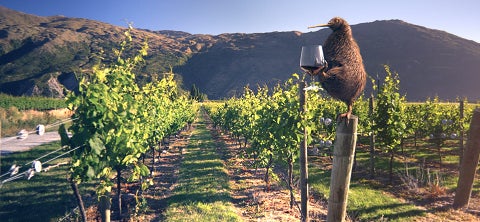 ぶどう畑を眺めながらワインを楽しむのも格別（提供写真）