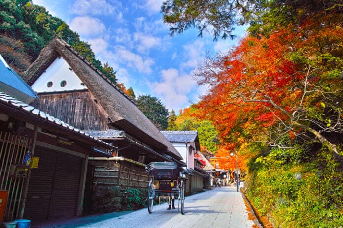 紅葉スポット